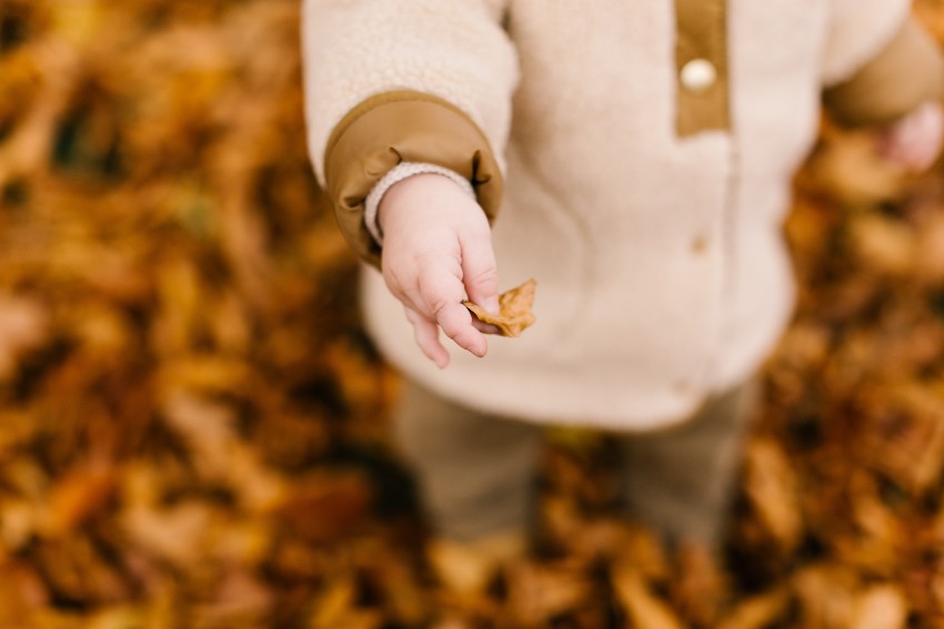 niño mostrando una hoja de otoño